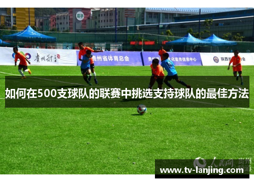 如何在500支球队的联赛中挑选支持球队的最佳方法