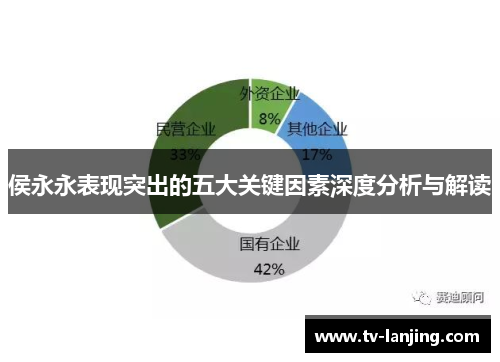 侯永永表现突出的五大关键因素深度分析与解读