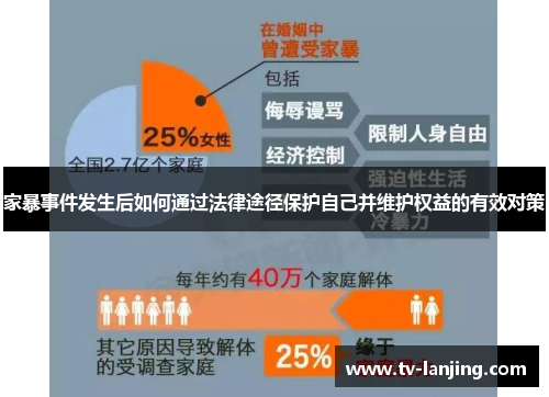 家暴事件发生后如何通过法律途径保护自己并维护权益的有效对策