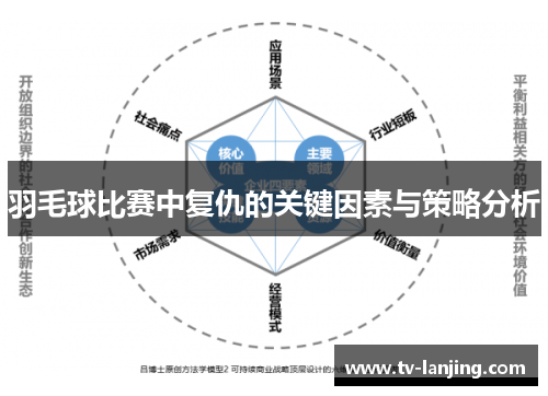 羽毛球比赛中复仇的关键因素与策略分析