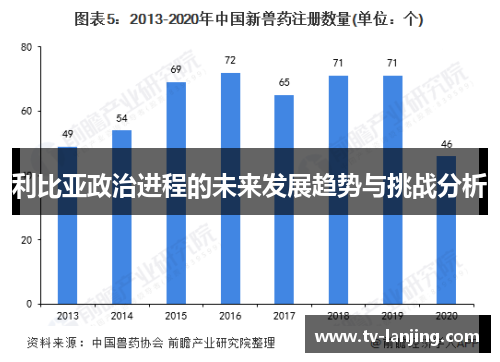 利比亚政治进程的未来发展趋势与挑战分析 利比亚政治进程的未来发展趋势与挑战分析