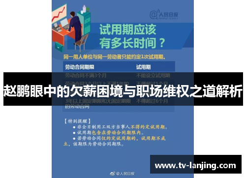 赵鹏眼中的欠薪困境与职场维权之道解析 赵鹏眼中的欠薪困境与职场维权之道解析