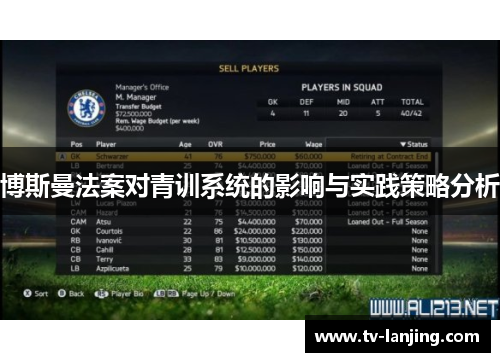 博斯曼法案对青训系统的影响与实践策略分析 博斯曼法案对青训系统的影响与实践策略分析