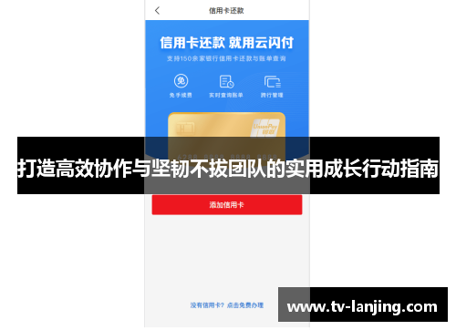 打造高效协作与坚韧不拔团队的实用成长行动指南 打造高效协作与坚韧不拔团队的实用成长行动指南