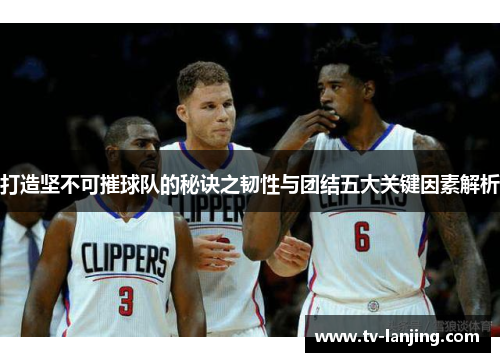打造坚不可摧球队的秘诀之韧性与团结五大关键因素解析 打造坚不可摧球队的秘诀之韧性与团结五大关键因素解析